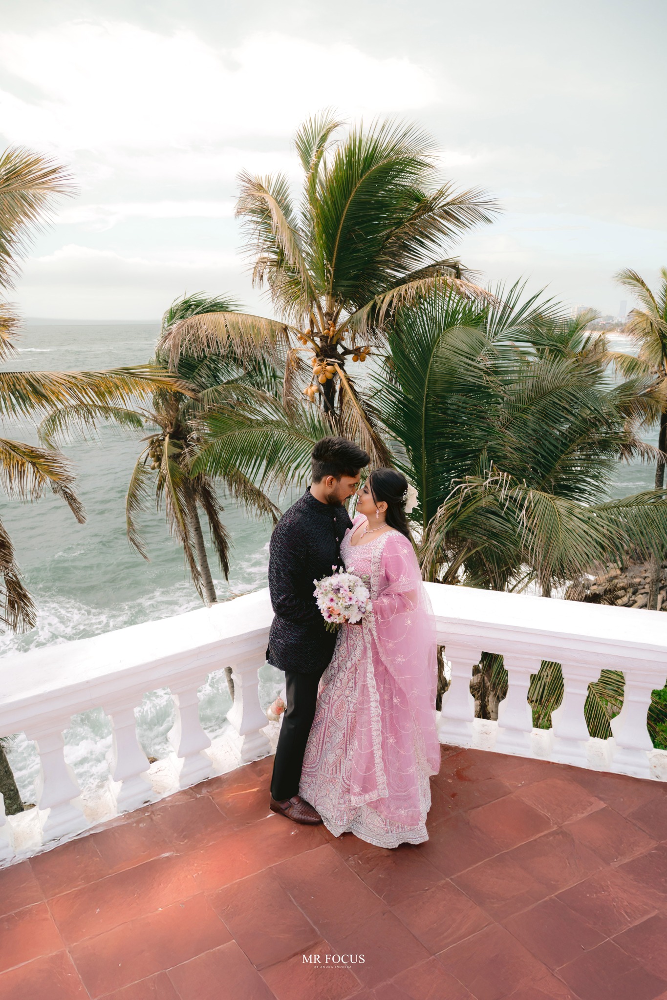 MR FOCUS favourite 1