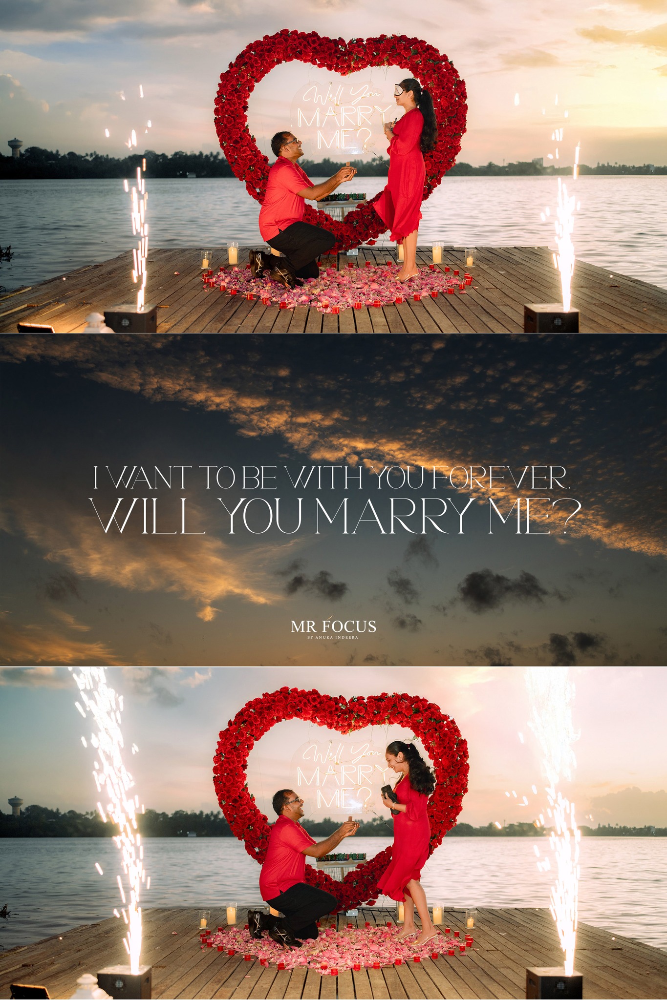 MR FOCUS favourite 4